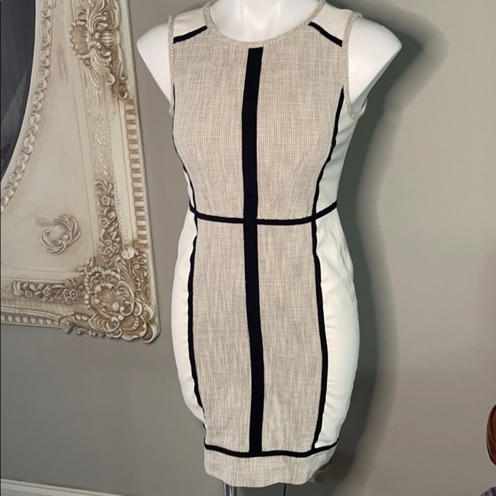 Ann Taylor  sleeveless dress.